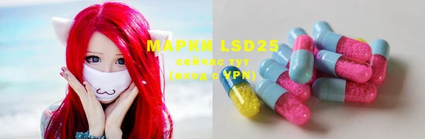 spice Абинск