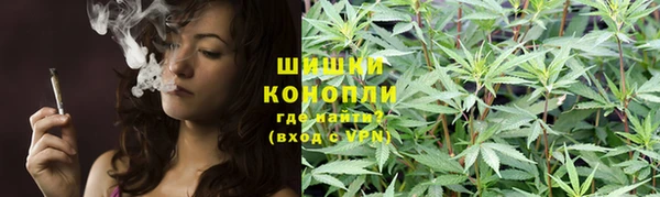spice Абинск